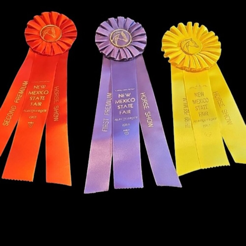 3 original from 1965 1967 NM Albuquerque State Fair Horse Show ribbons rosettes - Picture 4 of 13